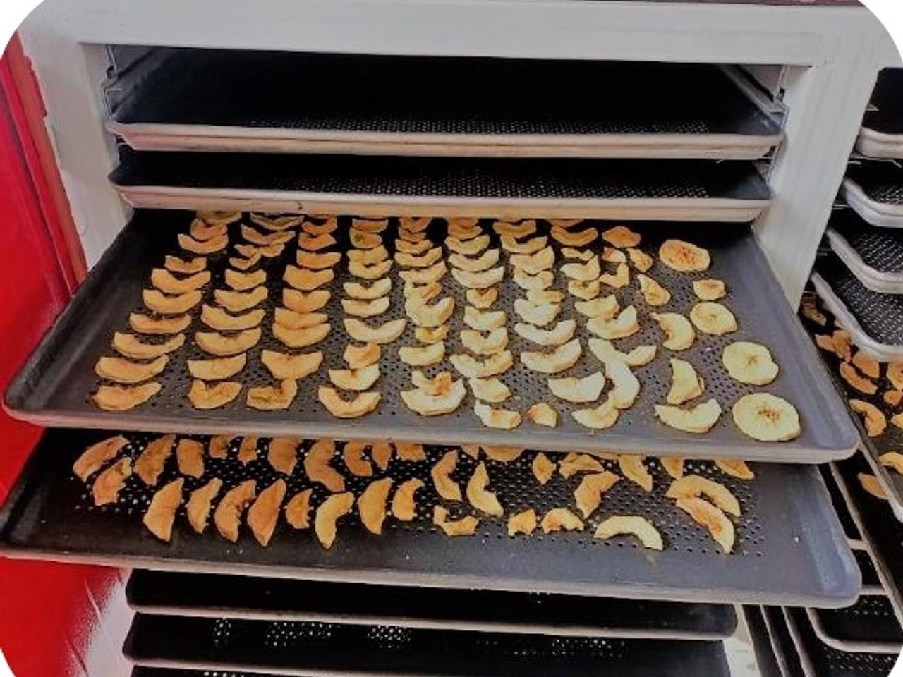 Tranches de fruits séchées dans le four, sur les plateaux