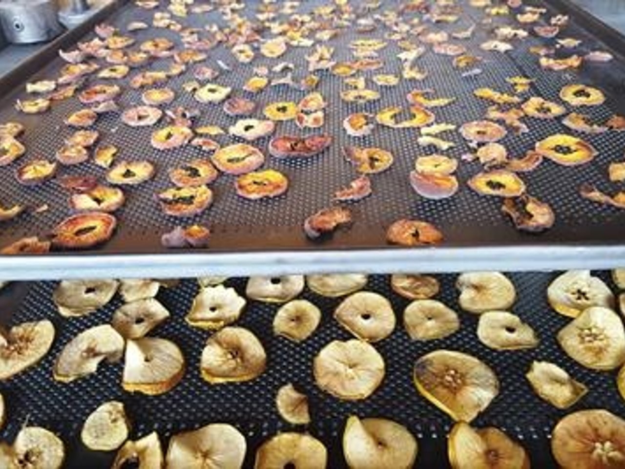 Dried apple slices in the system