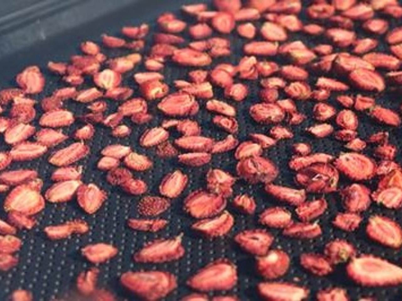 الفراولة المجففة في النظام